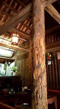 Một cột chống của ngôi nhà bị mối mọt nhưng được các chuyên gia Nhật Bản bảo tồn gần như nguyên vẹn