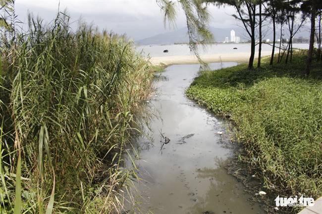 Dòng nước thải ở biển Nguyễn Tất Thành ngưng chảy lâu ngày bốc mùi - Ảnh: ĐOÀN NHẠN