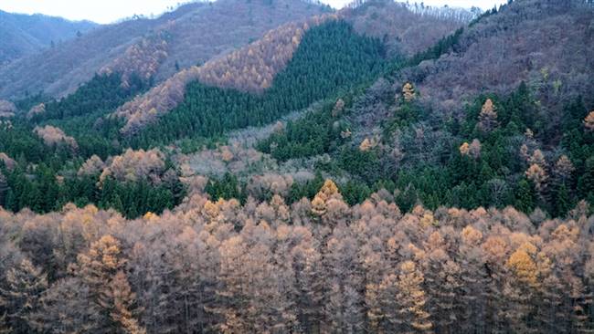 Là một trong những thành phố có lịch sử lâu đời, Fukushima mang vẻ đẹp lãng mạn, yên bình với những ngôi làng nằm rải rác bên sườn núi. Tỉnh nằm ở cực bắc của Nhật Bản, cách thủ đô chừng 300 km.