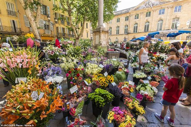 Tháng 6: Chợ hoa ở Aix-en-Provence, thủ đô của Provence lúc nào cũng tấp nập, rực rỡ sắc màu.
