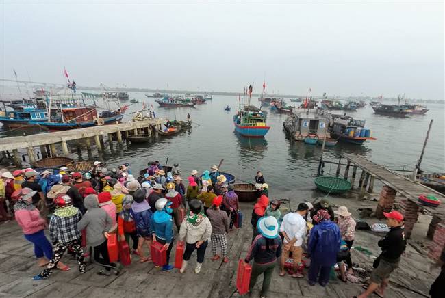 Cảnh đón hàng mỗi buổi sáng ở cảng cá An Lương. Ảnh: B.A