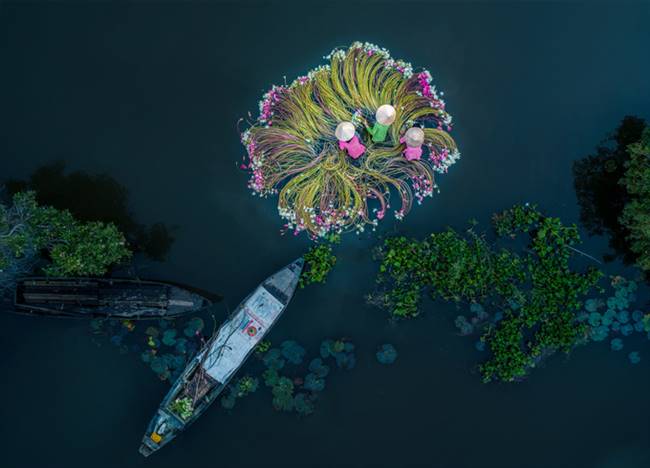 Tấm ảnh Flowers on the water (tạm dịch: Những bông hoa trên mặt nước) của tác giả Khánh Phan được trao giải nhất hạng mục ảnh Vui tươi (Fun) của SkyPixel Aerial Photography & Video Contest năm 2018 - Ảnh: SkyPixel