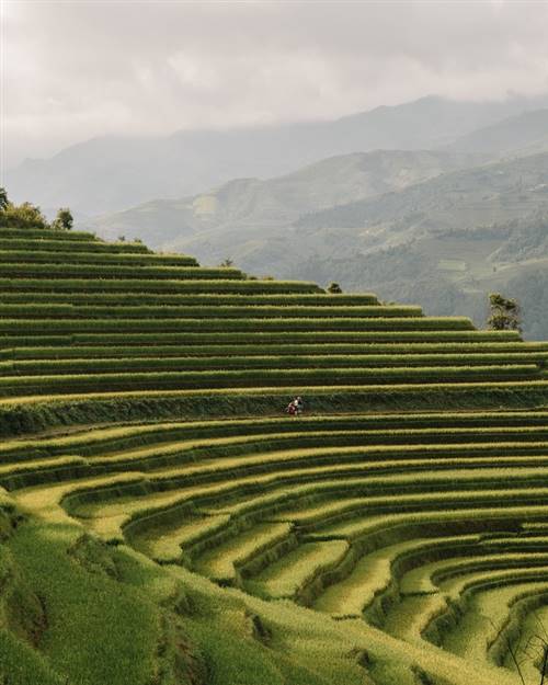 Pha trộn với nhịp sống đời thường này là quang cảnh thiên nhiên ngoạn mục của Việt Nam, từ ruộng bậc thang ở Mù Cang Chải, Yên Bái đến núi non Ninh Bình hay vịnh Hạ Long.