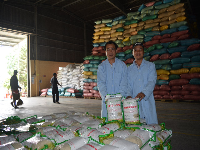 Gạo Phong Thử của Công ty CP Giống nông nghiệp Điện Bàn (xã Điện Thọ, thị xã Điện Bàn) đã được gắn sao.