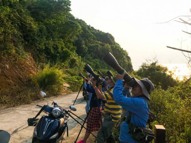 Đông đảo nhiếp ảnh gia và du khách chụp ảnh vọoc trên hoa tím
