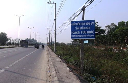Chốt kiểm dịch được tỉnh Quảng Nam đặt trên quốc lộ 1A đoạn qua thị xã Điện Bàn.