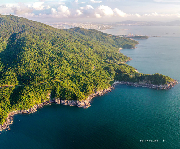 Một góc rừng Sơn Trà nhìn từ hướng biển - Ảnh: Hồ Sĩ Bình