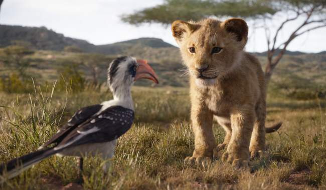 Vua sư tử Phiên bản 2019 do Jon Favreau đảm nhiệm vai trò đạo diễn.