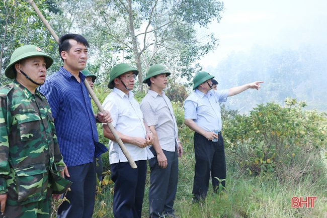  Trưởng ban Tổ chức Trung ương Phạm Minh Chính và lãnh đạo tỉnh Hà Tĩnh trực tiếp đến hiện trường kiểm tra, chỉ đạo công tác chống cháy cháy rừng tại xã Sơn Lễ, huyện Hương Sơn.