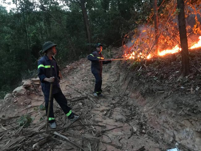 Cháy lớn ở rừng đầu nguồn phía tây TP.Đà Nẵng, hơn 200 người nỗ lực dập lửa ẢNH: Đ.X.V
