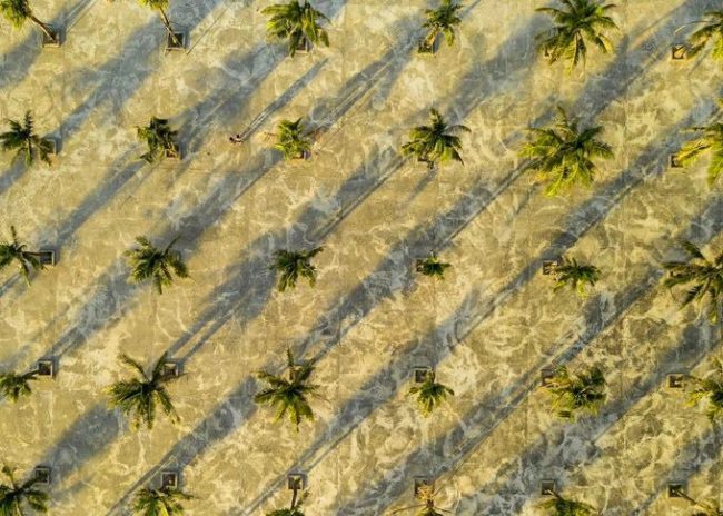 Những hàng dừa soi bóng trên bãi biển Non Nước, Đà Nẵng trong top ảnh đẹp ngày 17/6/2019. Bãi biển này trải dài 5 km như một vòng cung xanh nằm dọc chân núi Ngũ Hành Sơn.