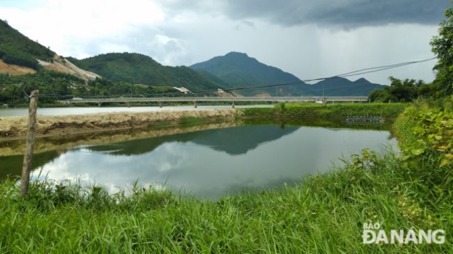 Theo chính quyền xã Hòa Liên, các ao nuôi tôm hiện nay trên đoạn sông Cu Đê chảy qua thôn Trường Định phần lớn đều sử dụng diện tích đất theo hiện trạng cũ đã có từ năm 2000. 