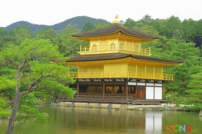 Màu vàng của chùa, ngay cả khi nắng yếu nhất, vẫn là điểm nhấn nổi bật giữa không gian chung quanh.