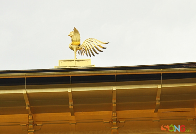Nóc chùa là con chim phượng hoàng làm bằng vàng nguyên chất.