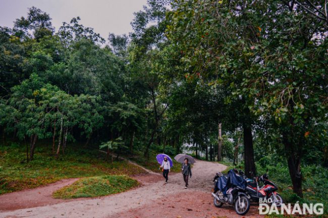 Lác đác vài du khách đội mưa men theo con đường xuyên rừng dẫn vào trung tâm thánh địa.