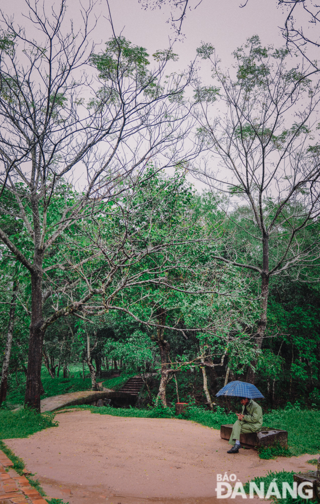 Những hàng cây xanh trên lối vào trung tâm Thánh địa cũng nên thơ hơn dưới cơn mưa.