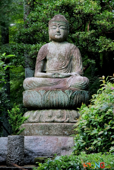 Một pho tượng Phật nằm trong vườn cảnh của chùa.