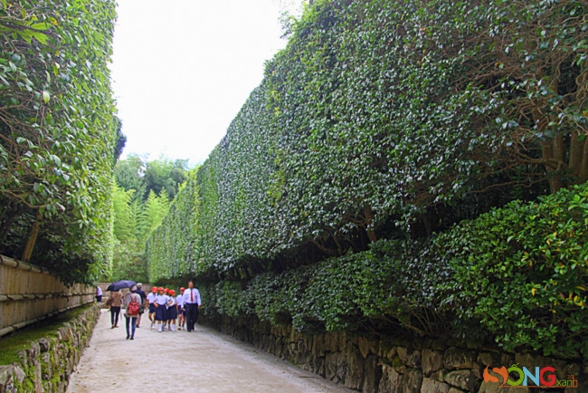 Lối vào chùa Bạc gây ấn tượng với những thảm xanh được cắt tỉa công phu.