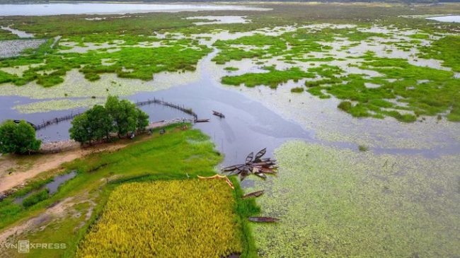 Vùng Bãi Sậy - Sông Đầm thuộc xã Tam Thăng, TP. Tam Kỳ có diện tích tự nhiên khoảng 180 ha, mang vẻ đẹp hòa quyện của nhiều loài cây như lau sậy, cói, sen, súng. 