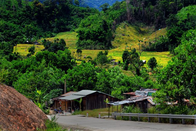 Một góc ngôi làng vùng cao Nam Trà My (Quảng Nam) cùng với dãy lúa chín bậc thang khi vào thu ẢNH: TUẤN TÚ