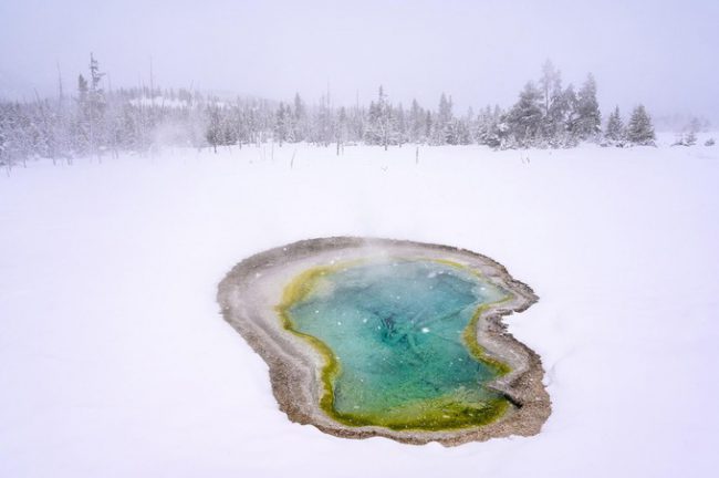 Hồ nước nóng ở công viên quốc gia Yellowstone, Mỹ. Để ghi lại khoảnh khắc này, nhiếp ảnh gia Michael Clark và bạn phải vượt qua thời tiết khắc nghiệt do tuyết rơi dày, bên cạnh đó là mối đe dọa từ chó sói và các động vật hoang dã khác. Ảnh: Michael Clark.