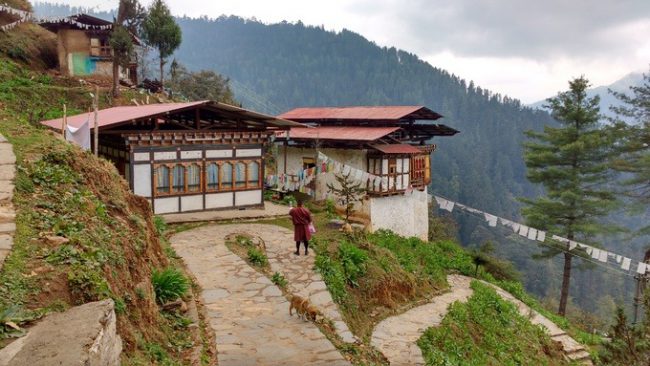 Tu viện Tango được xây dựng từ năm 1688, cách thủ đô Thimphu khoảng 16km về phía bắc. Nơi đây cũng nằm trên vách núi cheo leo giống tu viện Tiger’s Nest. Tango là trường Phật học với chương trình đại học kéo dài 6 năm, cao học dài 9 năm. Trên đường lên tu viện, du khách sẽ bắt gặp nhiều thùng rác nhỏ được treo lên cây, viết những câu hay với mục đích chính là bảo vệ môi trường. Ảnh: Krishnakuya.