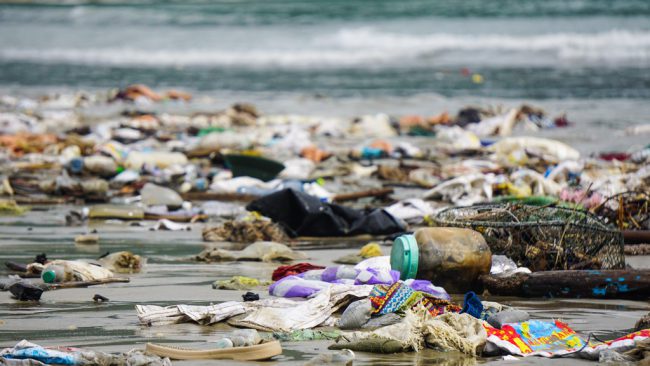 Nhiều loại rác thải tấp vào bờ biển Nguyễn Tất Thành (quận Thanh Khê). 