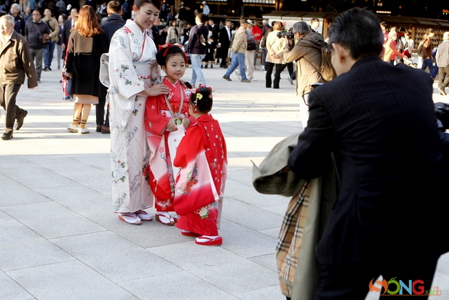 Để chụp hình lưu niệm lũ trẻ thật không dễ. Nếu như các bé 5,7 tuổi ý thức hơn về việc chụp ảnh theo ý người lớn thì các cô bé diện kimono 3 tuổi, như cô bé này chỉ thích đi lăng xăng trước ống kính.