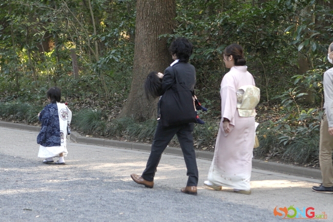Một gia đình trẻ đang rời khỏi đền Thiên hoàng Minh Trị sau khi dự lễ Shichi-Go-San, với em bé đang ngủ gục được bố bế trên tay.