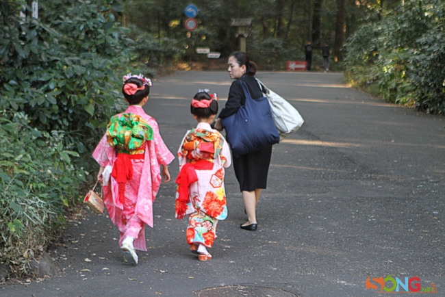 Vào ngày này, ông bà, bố mẹ, anh chị sẽ đưa những bé đến 3,5,7 tuổi mặc những bộ kimono sặc sỡ tới các đền để cám ơn thần linh đã phù hộ cho chúng được khỏe mạnh và xin được chúc phúc.