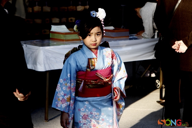 Lên 7 tuổi, là lúc những bé gái lần đầu được mặc những bộ kimono có thắt obi và được trang điểm như người lớn.