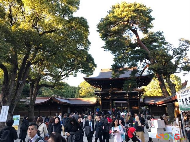 Đền thờ Thiên hoàng Minh Trị có tên gọi trong tiếng Nhật là Meiji-jingū. Đây là đền thờ nổi tiếng nhất ở Tokyo, thờ Thiên hoàng Minh Trị Meiji-Tenno và Hoàng thái hậu Shoken-koaigo, được xây dựng vào năm 1920. Đây là ngôi đền thờ xây dựng gần đây nhất trong số các đền thờ được xây dựng ở Nhật Bản.
