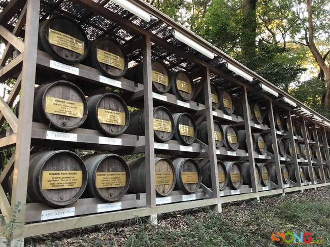 Những thùng rượu vang, chủ yếu là từ Pháp tặng cho Thiên hoàng được lưu lại trong khuôn viên đền.