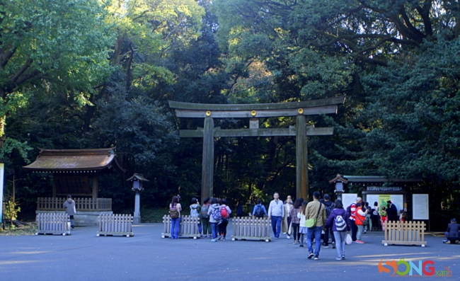 Chiếc cổng torii, có chiều cao 12m, được làm từ cây cypus (cây trắc bá) 1.500 năm tuổi của Đài Loan.