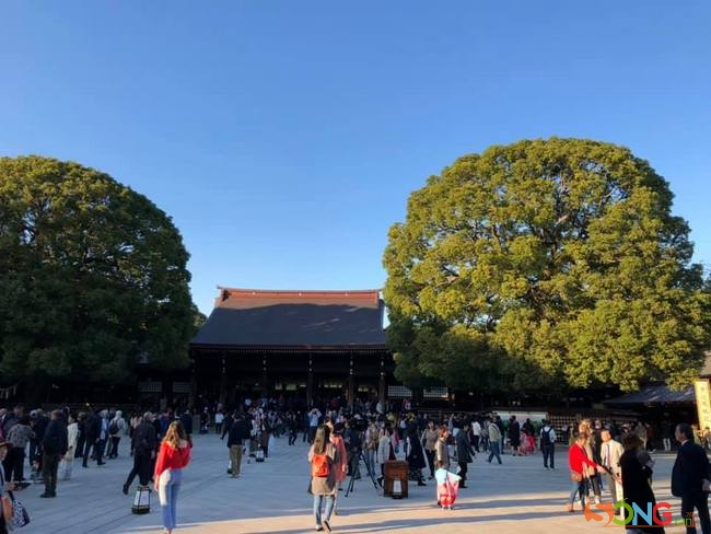 Du khách không được phép chụp hình trong đền chính. Đây là một gian chánh điện nằm giữa 2 cây xanh có tán rất đẹp như những cây kiểng bonsai khổng lồ.