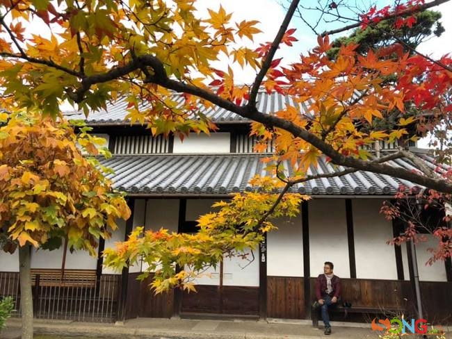Lá phong thay màu là loại cây được săn lùng nhất ở Nhật Bản mùa này, vì như cư dân mạng nói: chụp hình bao đẹp”.