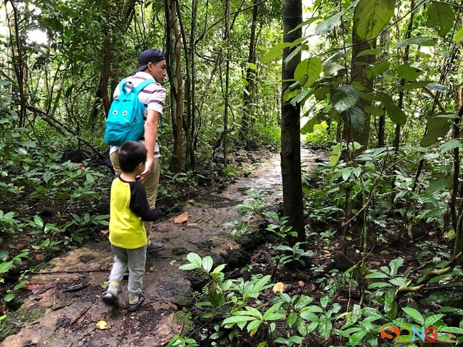 Cảnh hiếm gặp ở các khu rừng khác: Người lớn có thể dẫn trẻ con theo cùng.