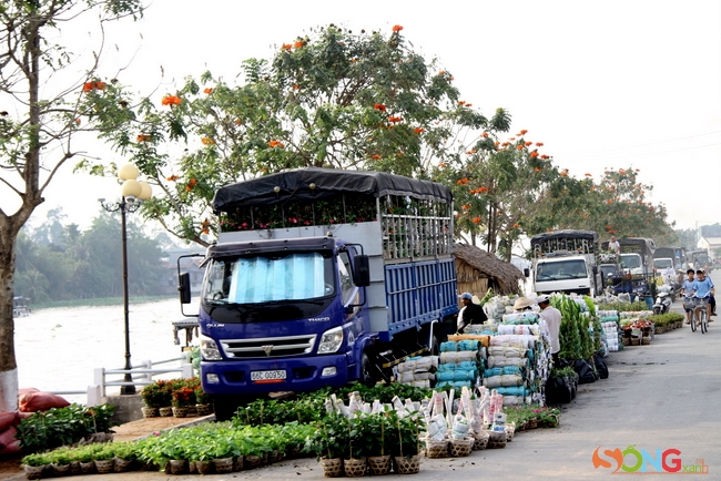 Các xe tải đang đậu dài bên bờ sông để ăn hàng hoa.