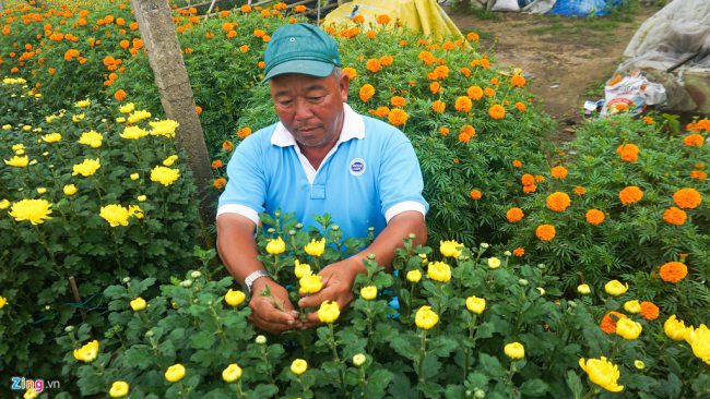 "Nhà tôi trồng khoảng 1.500 m2 hoa các loại. Nhiều thương lái đến mua hoa với giá cao nên thu nhập gần 200 triệu đồng", ông Nguyễn Đức Tình (trú xã Hòa Châu) nói.