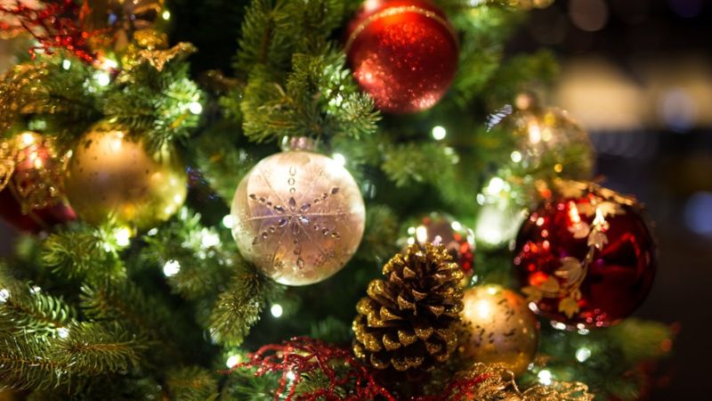 Cây thông Noel là một trong những biểu tượng đáng chú ý nhất trong mùa lễ Giáng Sinh