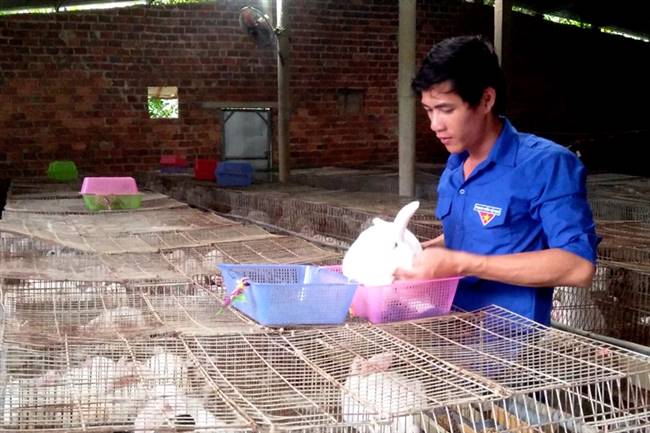 Mô hình chăn nuôi khép kín hiệu quả, trong đó có nuôi thỏ giúp anh Thành thu nhập cả trăm triệu đồng mỗi năm. Ảnh: Đ.S