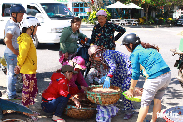 Ruốc tươi lên bờ nhanh chóng được thương lái thu gom - Ảnh: TẤN LỰC