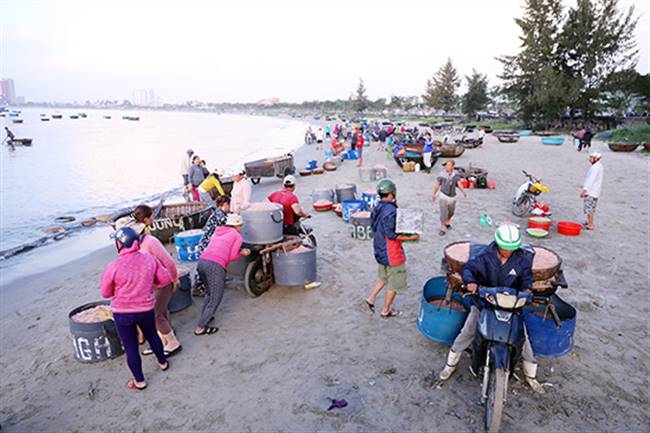 Chợ ruốc họp vào mỗi sớm mai, ngay bên mép biển. Ảnh: T.C