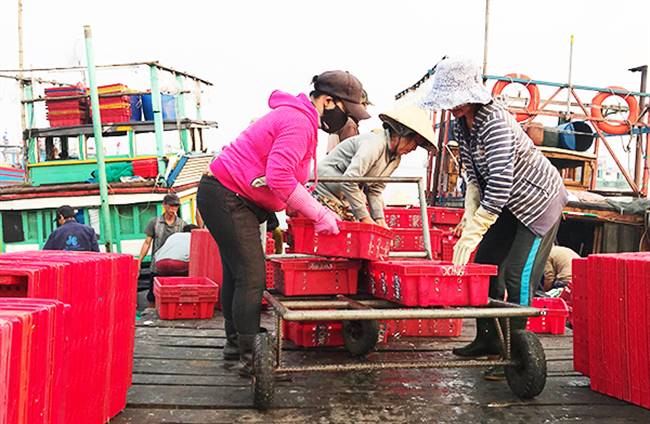 Cân, chuyển cá từ tàu lên xe. Ảnh: MINH HẢI