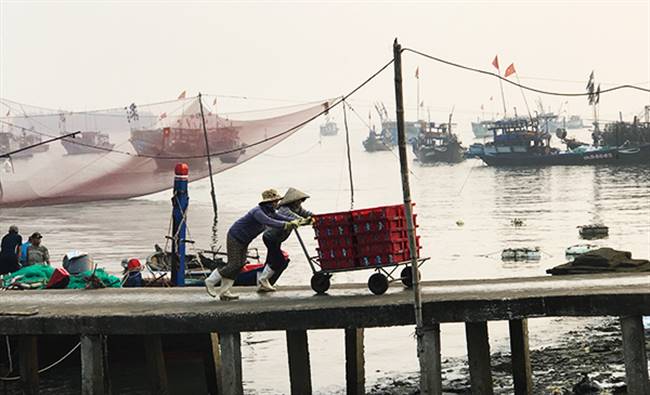 Cảnh nhộn nhịp ở bến An Lương diễn ra suốt đêm cho tới sáng. Ảnh: MINH HẢI