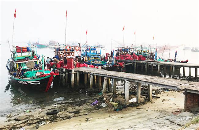 Bến cá An Lương. Ảnh: MINH HẢI
