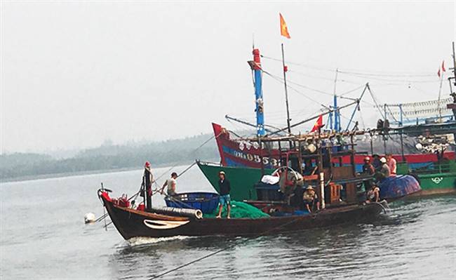 Tàu hành nghề mành đèn trúng cá cơm trở về từ biển. Ảnh: MINH HẢI