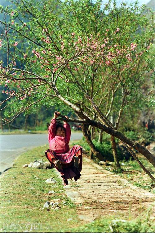 Trẻ em tại Sủng Là nô đùa dọc quốc lộ 4C, nơi có sự xuất hiện của nhiều cây đào và đang nở rất đẹp.