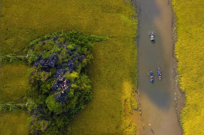 Tuần Du lịch Ninh Bình còn là “đại hội nhiếp ảnh” khi thu hút hàng trăm tay máy từ khắp vùng miền đến, ghi lại cảnh đẹp mùa lúa chín Tam Cốc. Người chụp đứng trên những khối núi đá vôi để lấy góc chụp từ trên cao.