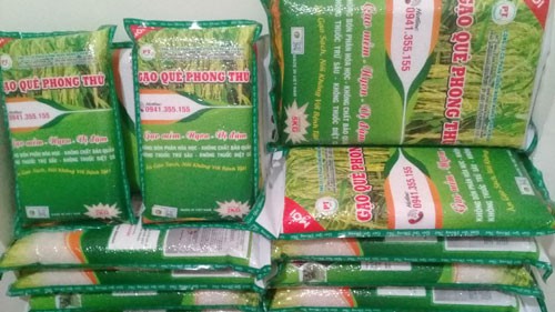 Ông Nguyễn Phước Thiện với lúa hữu cơ trên đồng và sản phẩm gạo quê Phong Thử